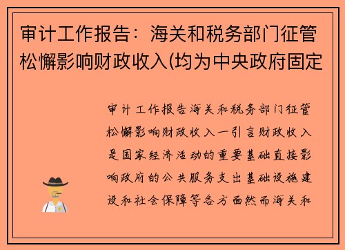 审计工作报告：海关和税务部门征管松懈影响财政收入(均为中央政府固定收入)