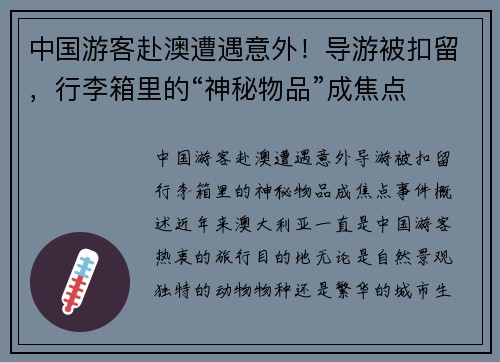中国游客赴澳遭遇意外！导游被扣留，行李箱里的“神秘物品”成焦点