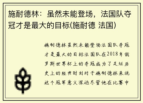 施耐德林：虽然未能登场，法国队夺冠才是最大的目标(施耐德 法国)