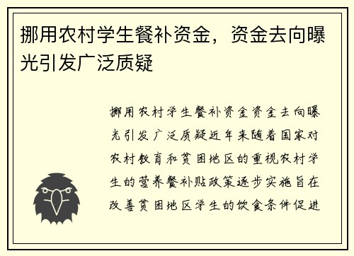 挪用农村学生餐补资金，资金去向曝光引发广泛质疑