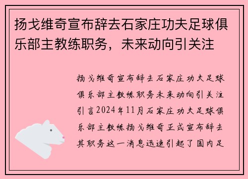 扬戈维奇宣布辞去石家庄功夫足球俱乐部主教练职务，未来动向引关注