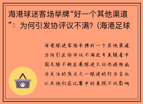 海港球迷客场举牌“好一个其他渠道”：为何引发协评议不满？(海港足球比赛直播)